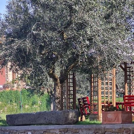 Agriturismo Il Pintello Сан-Кашиано-ин-Валь-ди-Пеза Экстерьер фото